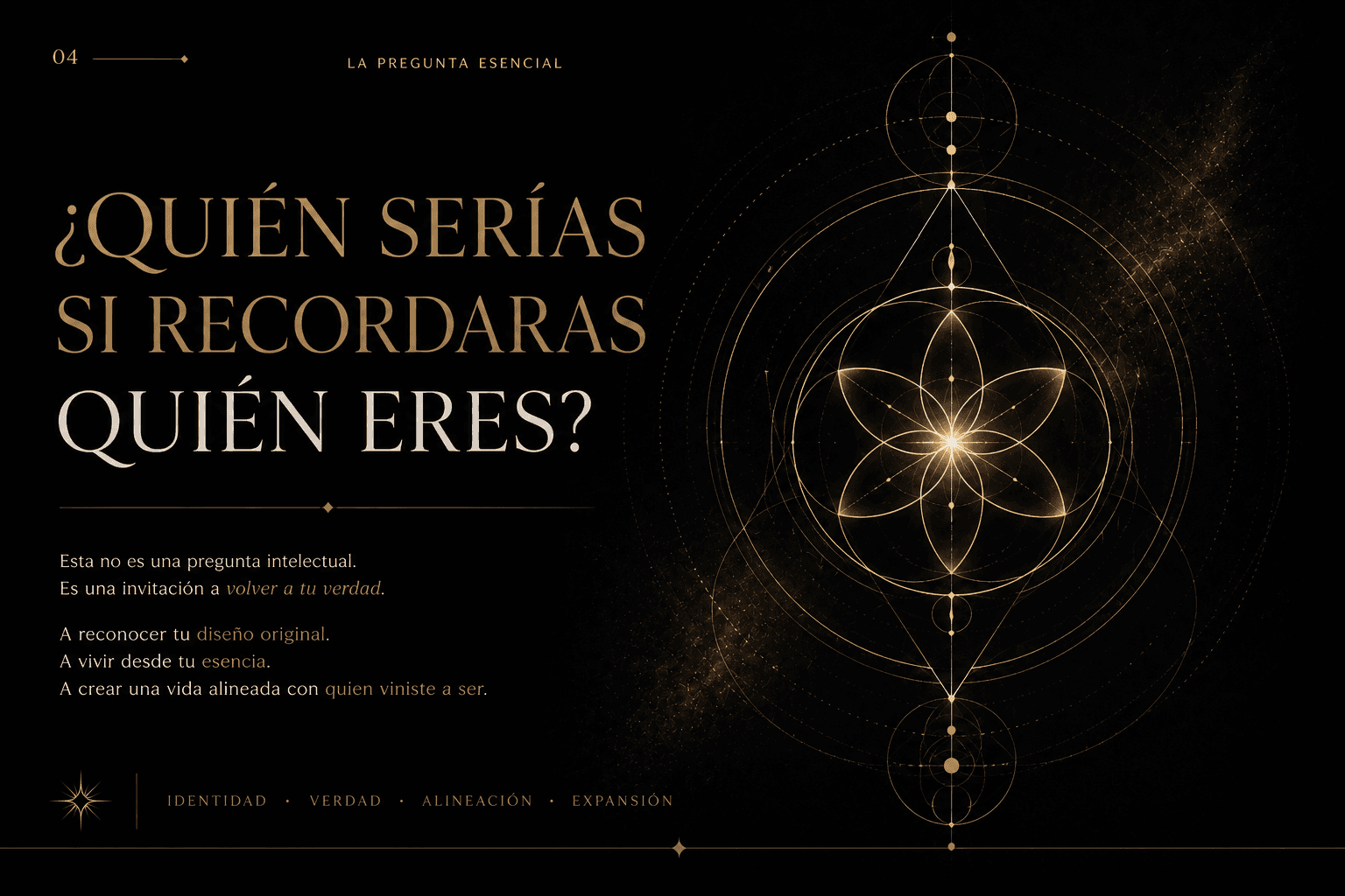 Visual Universe MPE - 28