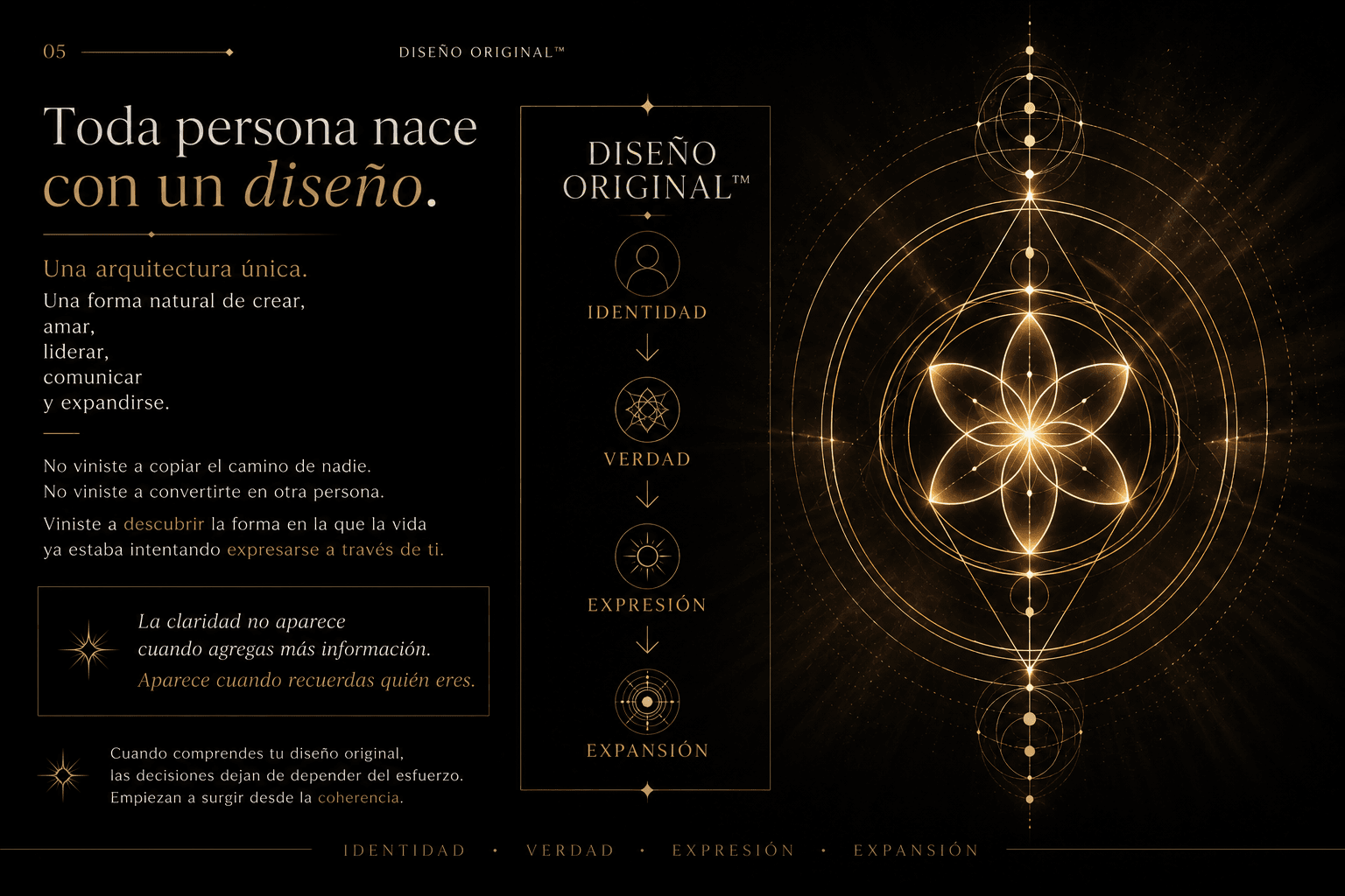 Visual Universe MPE - 29