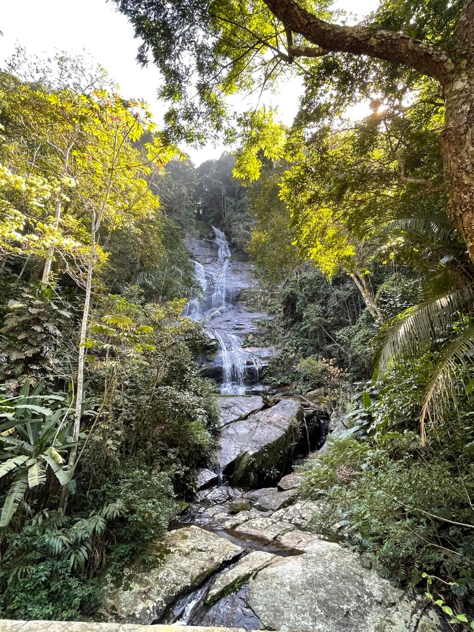 Jeep Tour Floresta da Tijuca